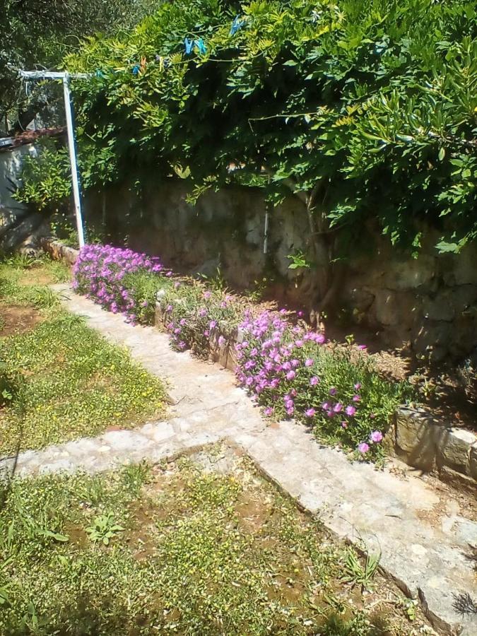 Apartman-Maja-Krk Крк Экстерьер фото